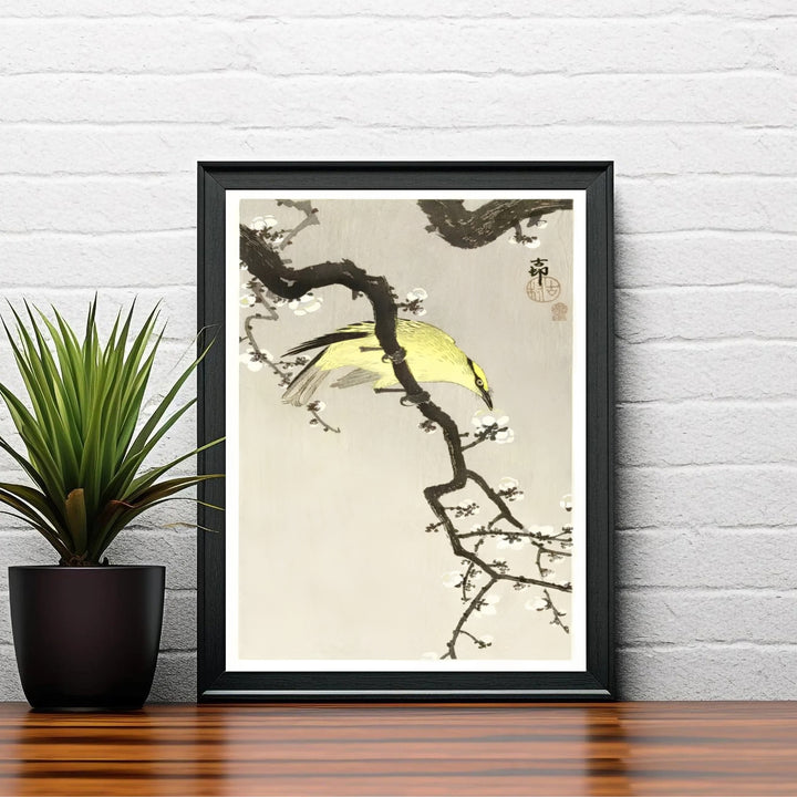 Asian botanical wall art featuring Ohara Koson Chinese Oriole 1900 1910 from a historic Kyoto collection. MapYourDreams delivers archival framed, unframed paper, and gallery canvas prints.