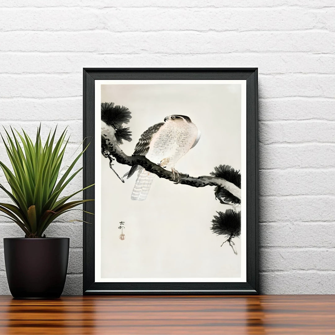 Vintage 1900 1930 Japanese woodblock poster by artist Ohara Koson displaying a hawk in pine needles reminiscent of Nara forest exhibitions. Shop high-definition framed, unframed, and canvas art print options at MapYourDreams.