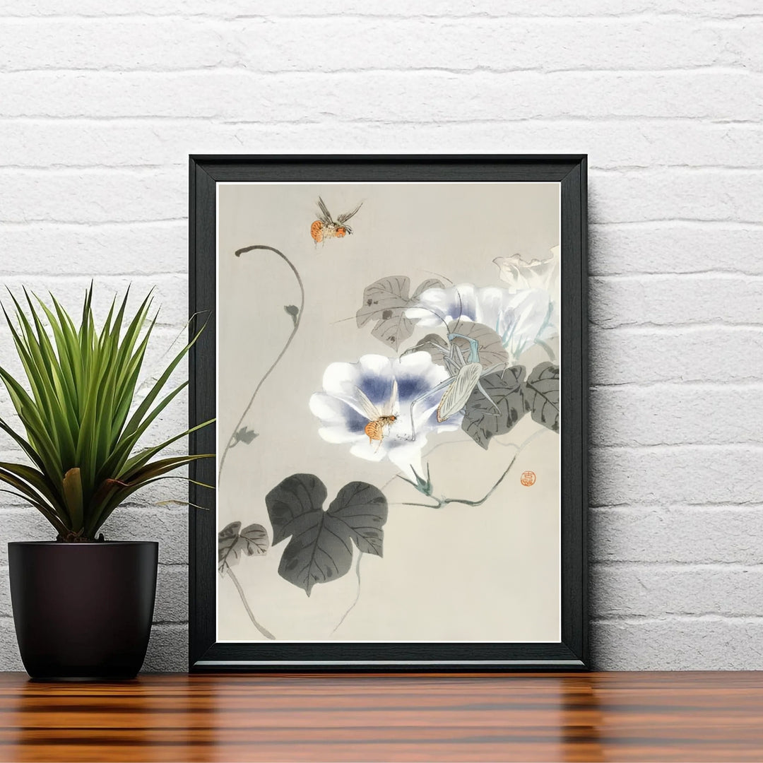 Beautiful 1900 1930 Japanese woodblock print by artist Ohara Koson featuring bindweed and hovering insects in a summer garden style inspired by Kamakura garden traditions. MapYourDreams offers versatile framed, unframed, and canvas print options.
