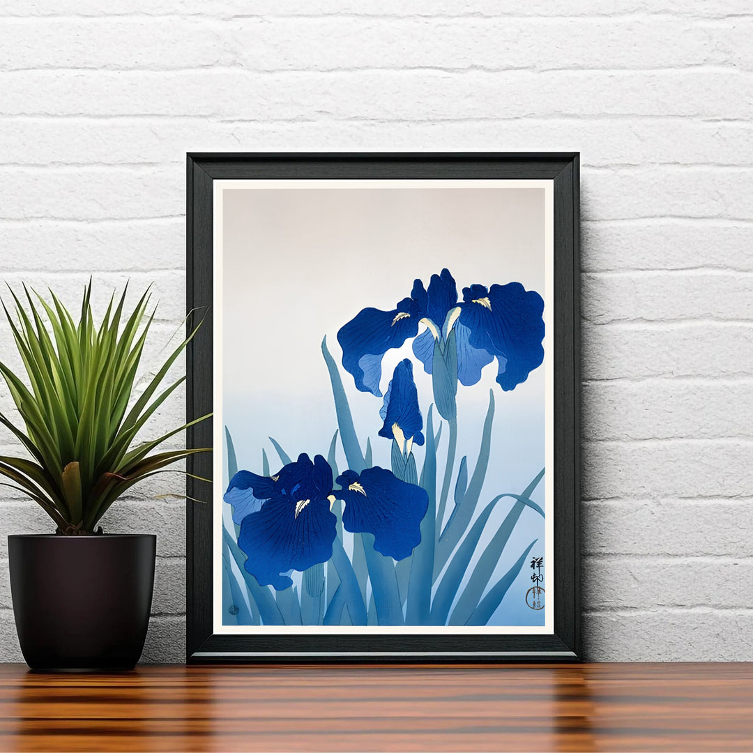 Vintage Japanese woodblock poster by artist Ohara Koson displaying sapphire iris petals reminiscent of Nara garden exhibitions. Shop high-definition framed, unframed, and canvas art print options at MapYourDreams.