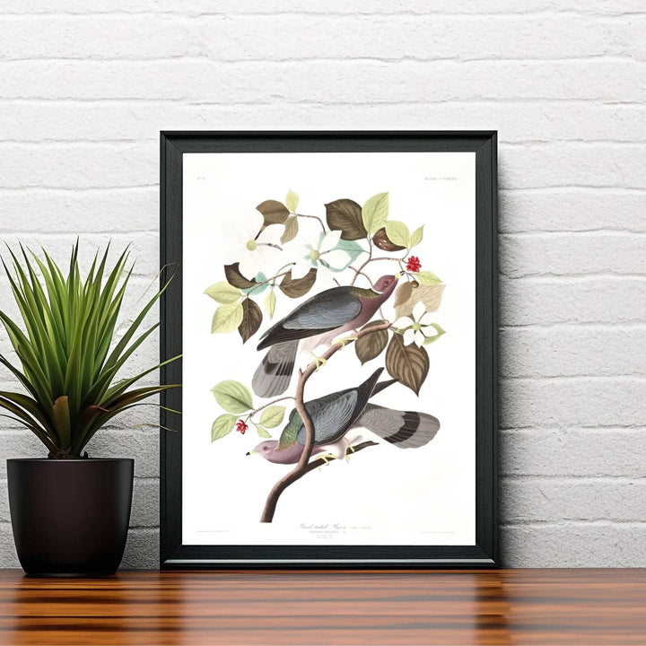 Radiating an unmistakable aura of intellectual elegance linked to the wild forests and mountain ranges of western North America, this Band-Tailed Pigeon 1838 wall art relies on soothing earth tones. MapYourDreams caters to every aesthetic via flexible formats, including unframed paper art print editions, custom-built framed finishes, and durable gallery canvas wraps.