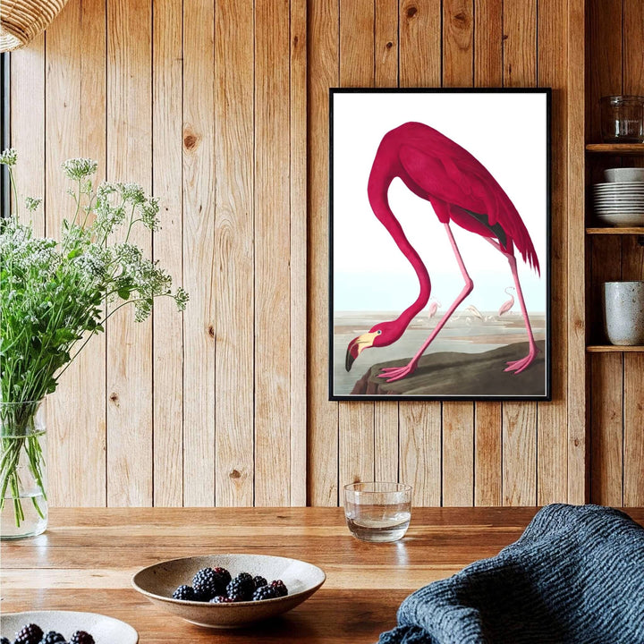 Highlighting the pioneering vision of ornithological illustration celebrated in global archives, this historic American Flamingo 1838 decor piece serves as an arresting organic focal point. MapYourDreams provides flexible solutions, allowing you to style this artwork as an unframed poster, a classic framed masterpiece, or a gallery-wrapped canvas.