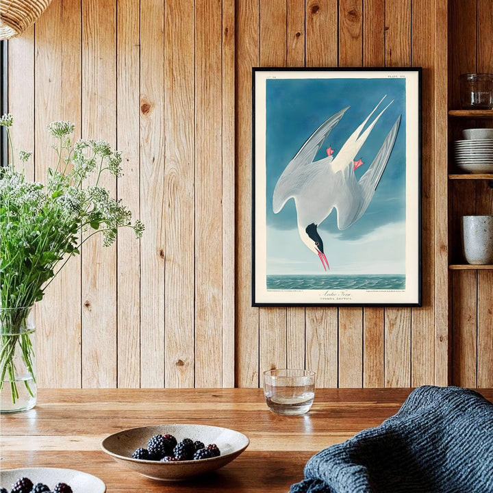 Highlighting the pioneering vision of ornithological illustration celebrated in global archives, this historic Arctic Tern 1838 decor piece serves as an arresting organic focal point. MapYourDreams provides flexible solutions, allowing you to style this artwork as an unframed poster, a classic framed masterpiece, or a gallery-wrapped canvas.