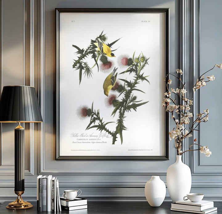 Blending minimalist scientific layout with sophisticated spatial harmony under classic natural history typography, this American Goldfinch 1838 print represents a high point in wildlife art. Available via MapYourDreams, choose your preferred finish from unframed paper art print styles, custom framed designs, or dimensional canvas wraps.