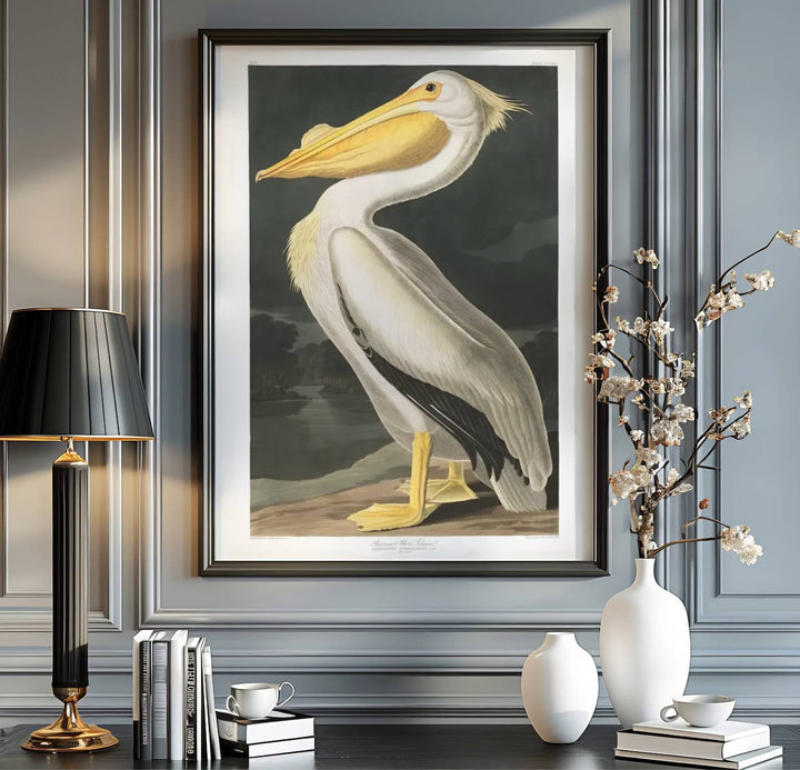 Blending minimalist scientific layout with sophisticated spatial harmony under classic natural history typography, this American White Pelican 1838 print represents a high point in wildlife art. Available via MapYourDreams, choose your preferred finish from unframed paper art print styles, custom framed designs, or dimensional canvas wraps.