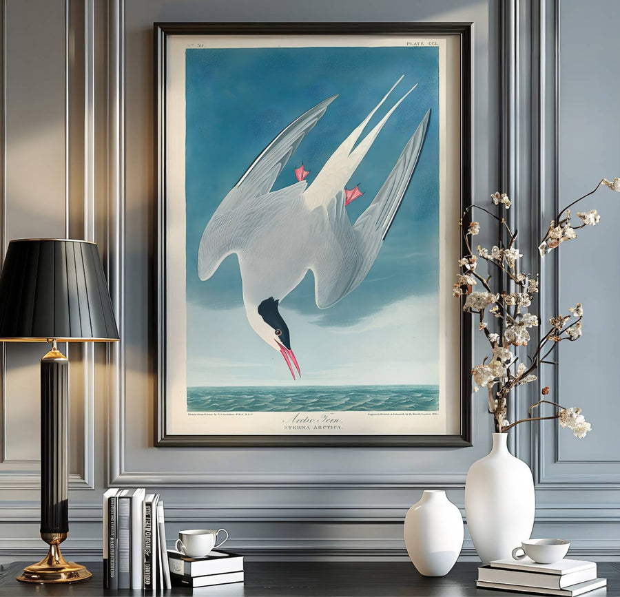 Blending minimalist scientific layout with sophisticated spatial harmony under classic natural history typography, this Arctic Tern 1838 print represents a high point in wildlife art. Available via MapYourDreams, choose your preferred finish from unframed paper art print styles, custom framed designs, or dimensional canvas wraps.