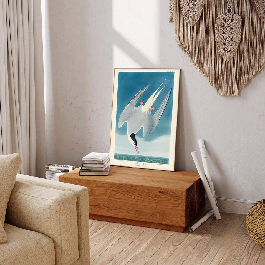 Offering a glimpse into the serene emotional depth of 19th-century wildlife studies preserved in North America, this expressive Arctic Tern 1838 art print brings profound character. MapYourDreams accommodates any interior vision with flexible formats, including unframed paper prints, custom framed presentations, and textured canvas wraps.