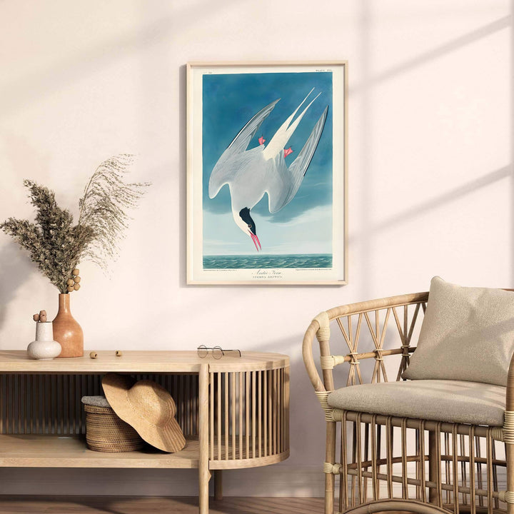 Anchored by striking diving studies and rolling sea wave depictions reminiscent of historic double-elephant folio installations, this Arctic Tern 1838 wall art captures structural grace. MapYourDreams offers complete display freedom, supporting unframed paper posters, elegant wooden framed units, and ready-to-hang gallery canvas options.