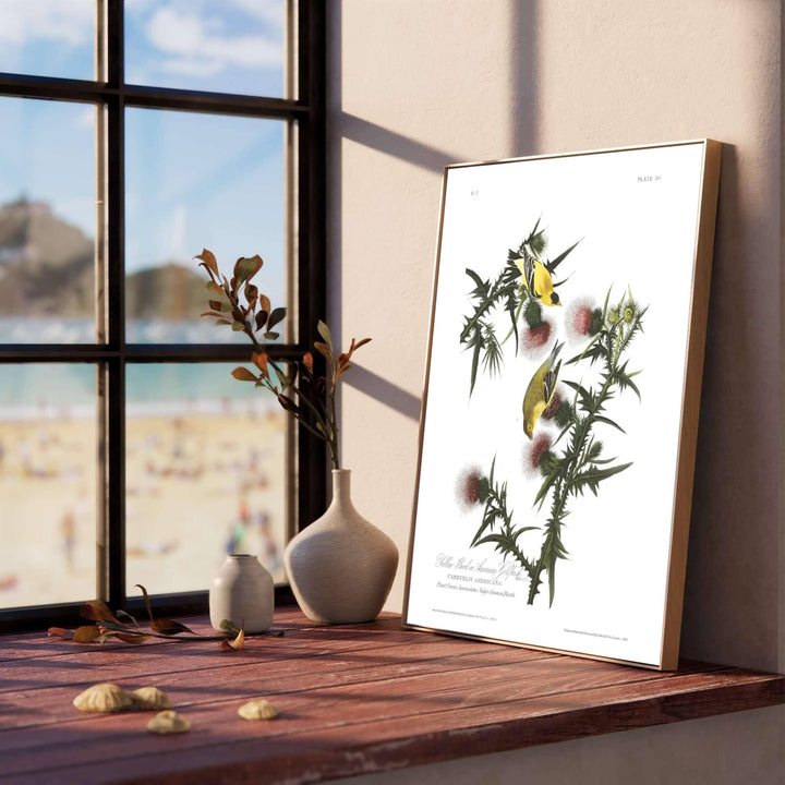 Capturing the quiet majesty of field documentation across historic American museum displays, this timeless American Goldfinch 1838 decor piece balances natural anatomical precision with organic warmth. Offered by MapYourDreams, you can acquire this illustration as a classic unframed print, a professionally framed accent, or a gallery-ready stretched canvas.