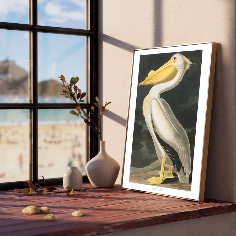 Capturing the quiet majesty of field documentation across historic American museum displays, this timeless American White Pelican 1838 decor piece balances natural anatomical precision with dramatic river atmospheres. Offered by MapYourDreams, you can acquire this illustration as a classic unframed print, a professionally framed accent, or a gallery-ready stretched canvas.