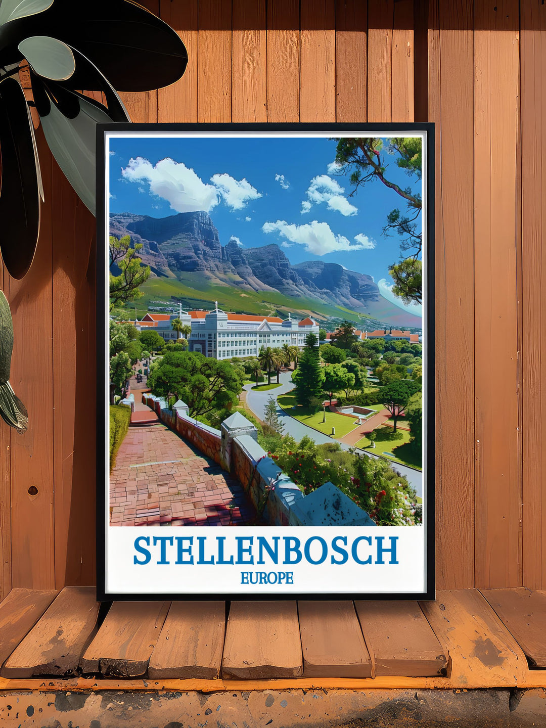Discover the picturesque landscape of Stellenbosch University with this exquisite travel poster, illustrating the blend of historic buildings and vibrant gardens.