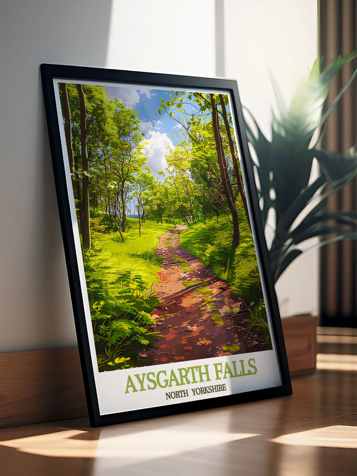 Framed print of woodland trails in the Yorkshire Dales a beautiful piece of artwork that brings the tranquility of North Yorkshires forest paths into your living space.