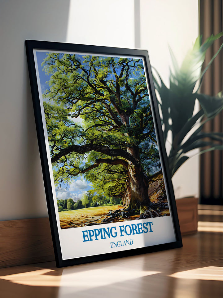 Beautiful depiction of Epping Forests ancient oaks, highlighting their gnarled forms and serene surroundings.