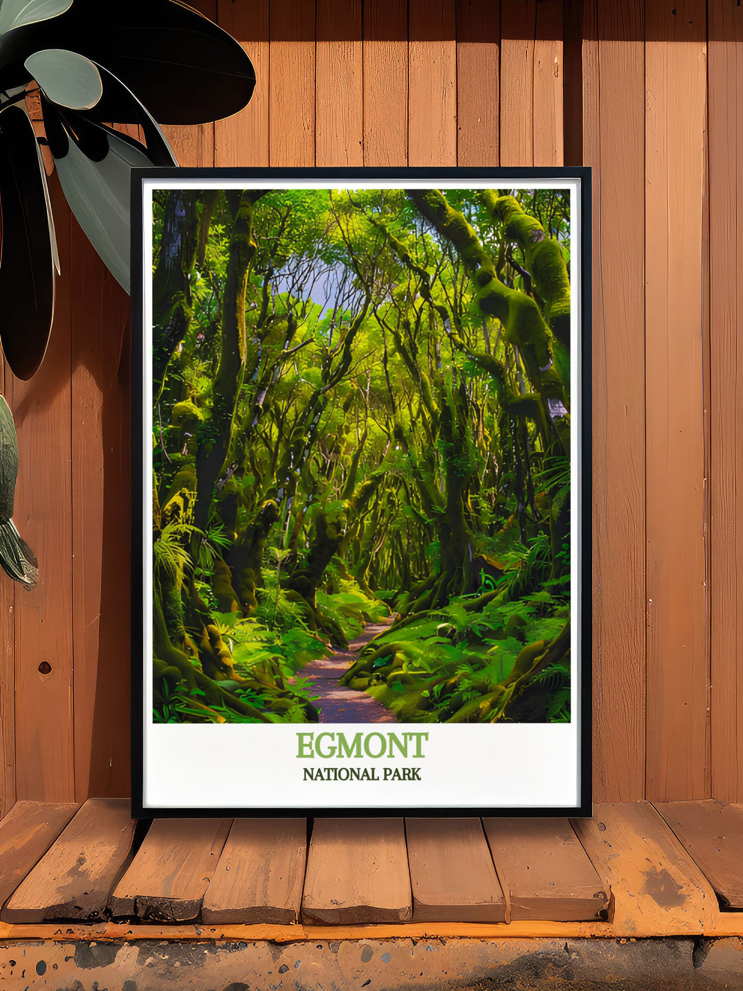 Gallery wall art showcasing the diverse landscapes of Egmont National Park, from the mystical Goblin Forest to the iconic Mount Taranaki.