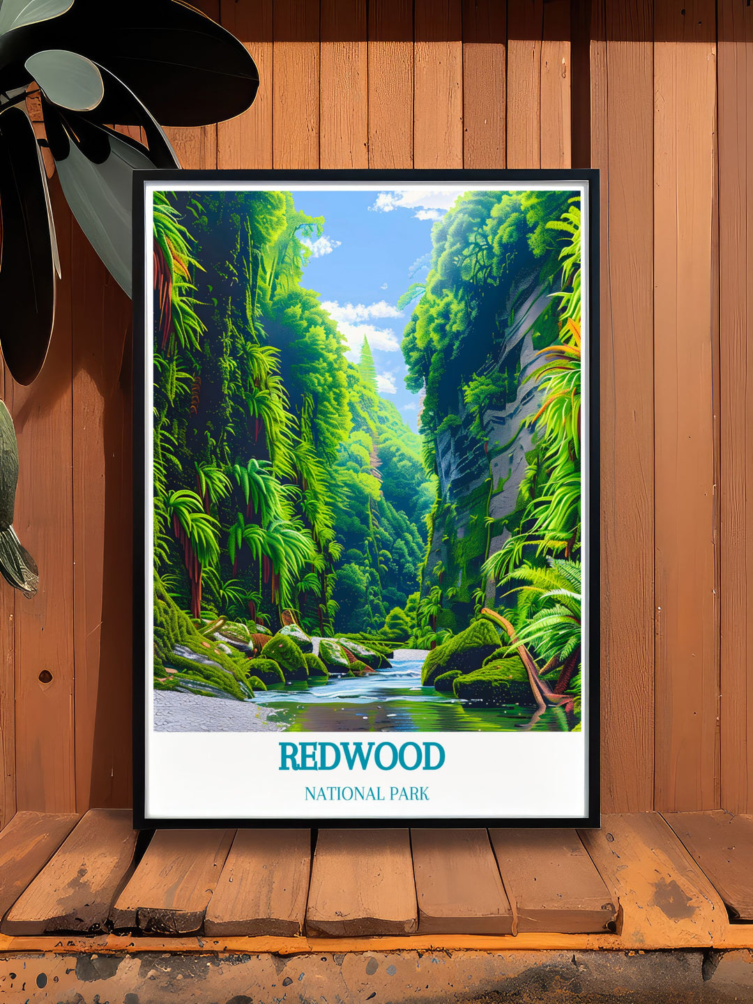 California travel art with Fern Canyon print showcasing the serene ambiance and lush foliage of the redwoods perfect for stylish home decor