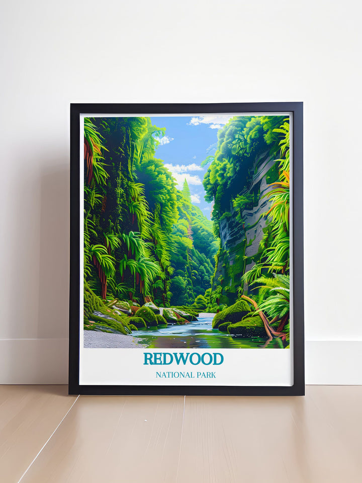 Elegant Fern Canyon modern decor highlighting the vibrant ferns and redwoods of California ideal for adding a touch of nature to your living space