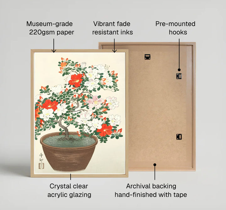 Red and white azalea bonsai print from the 1920–1930 period inspired by historic Tokyo botanical exhibitions for living room wall decor. Select custom framed, unframed poster, or gallery canvas choices at MapYourDreams.