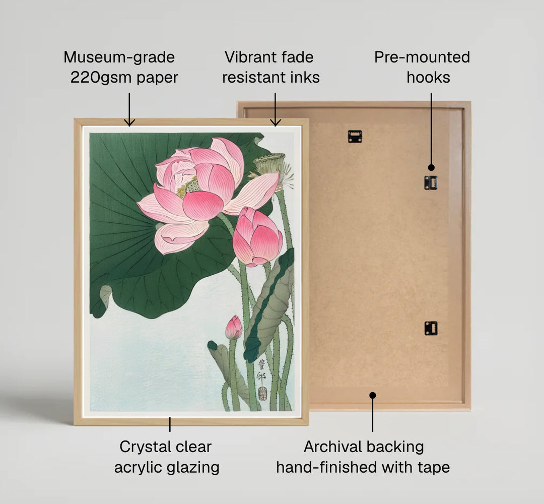 Detailed Japanese woodblock print of blooming lotus flowers reflecting traditional Kyoto botanical garden heritage. MapYourDreams offers fine art framed, unframed, and canvas print options.