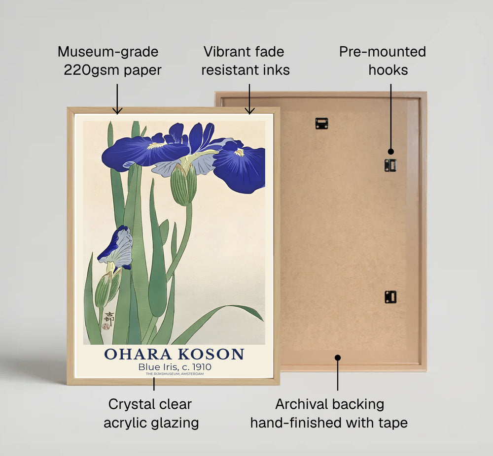 Vintage 1910 Shin-hanga Japanese floral poster displaying vibrant blue iris petals and green leaves from The Rijksmuseum, Amsterdam. Available as unframed prints, gallery canvas, or framed wall decor at MapYourDreams.