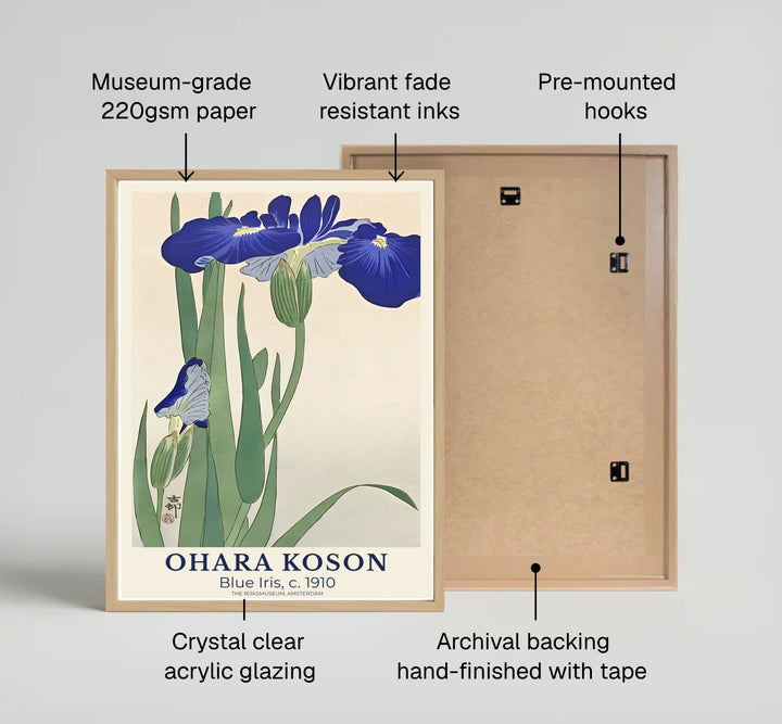 Vintage 1910 Shin-hanga Japanese floral poster displaying vibrant blue iris petals and green leaves from The Rijksmuseum, Amsterdam. Available as unframed prints, gallery canvas, or framed wall decor at MapYourDreams.