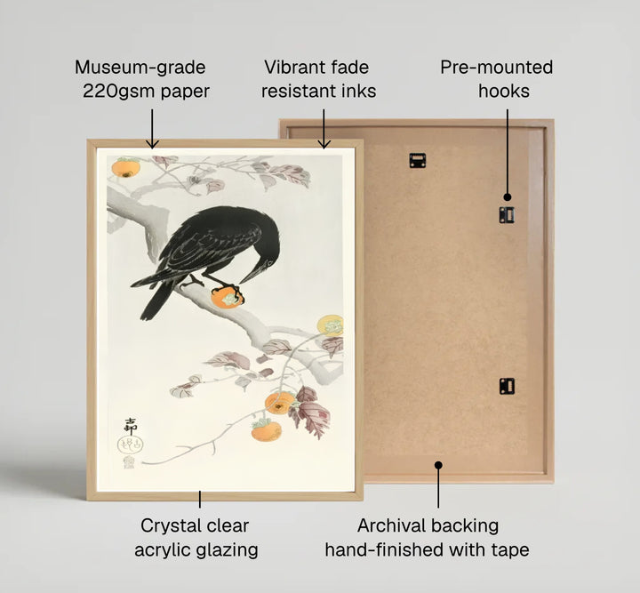 Vintage 1900 1910 Shin-hanga Japanese raven poster showing a black crow on persimmon branches from Kyoto art archives. Available as unframed prints, gallery canvas, or framed wall decor at MapYourDreams.