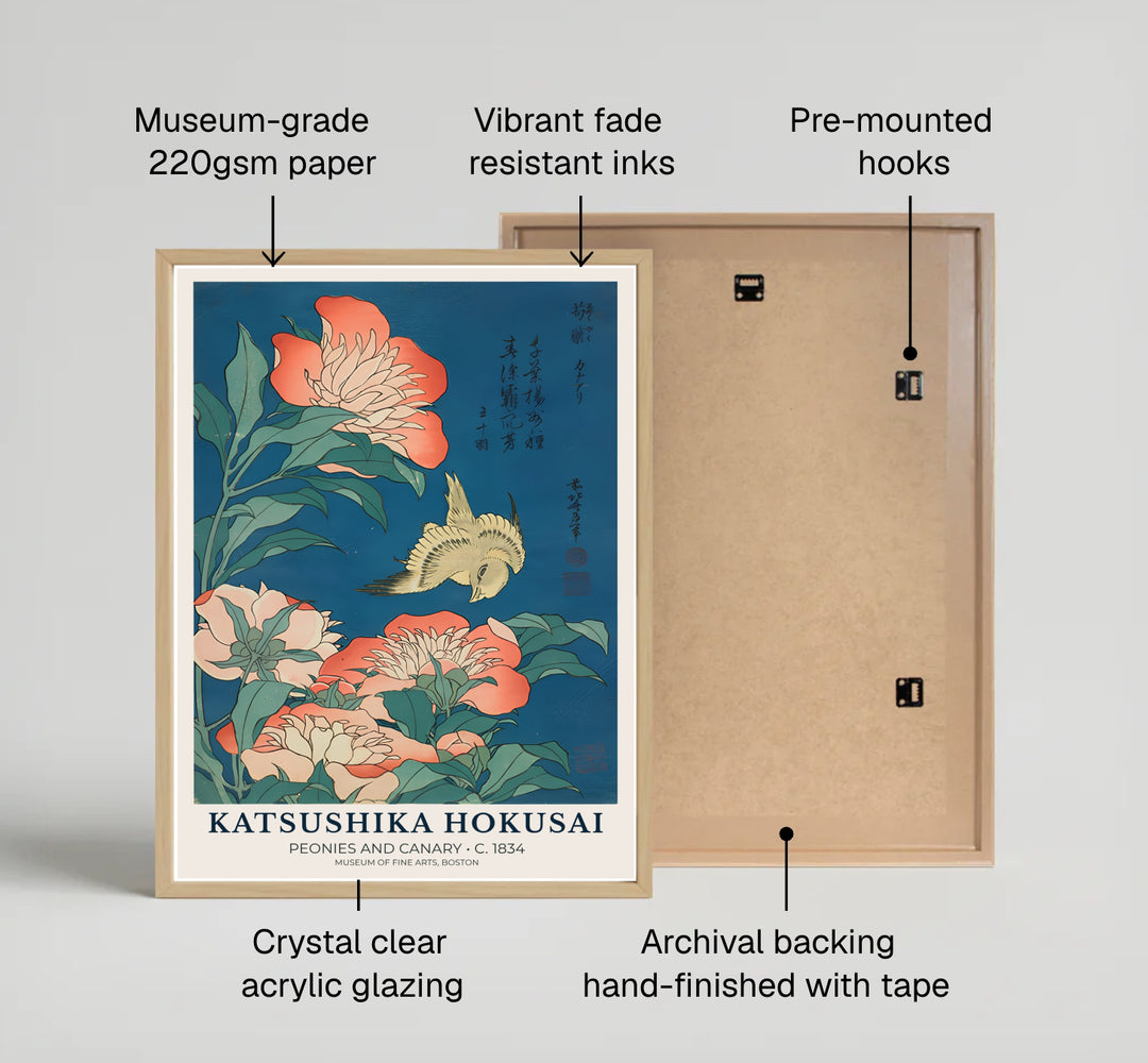 Detailed Japanese woodblock print Peonies and Canary by artist Katsushika Hokusai of a songbird flying near pink peony blossoms in Boston. MapYourDreams offers fine art framed, unframed, and canvas print options.