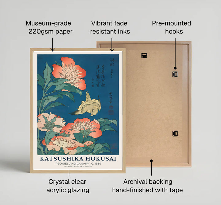 Detailed Japanese woodblock print Peonies and Canary by artist Katsushika Hokusai of a songbird flying near pink peony blossoms in Boston. MapYourDreams offers fine art framed, unframed, and canvas print options.