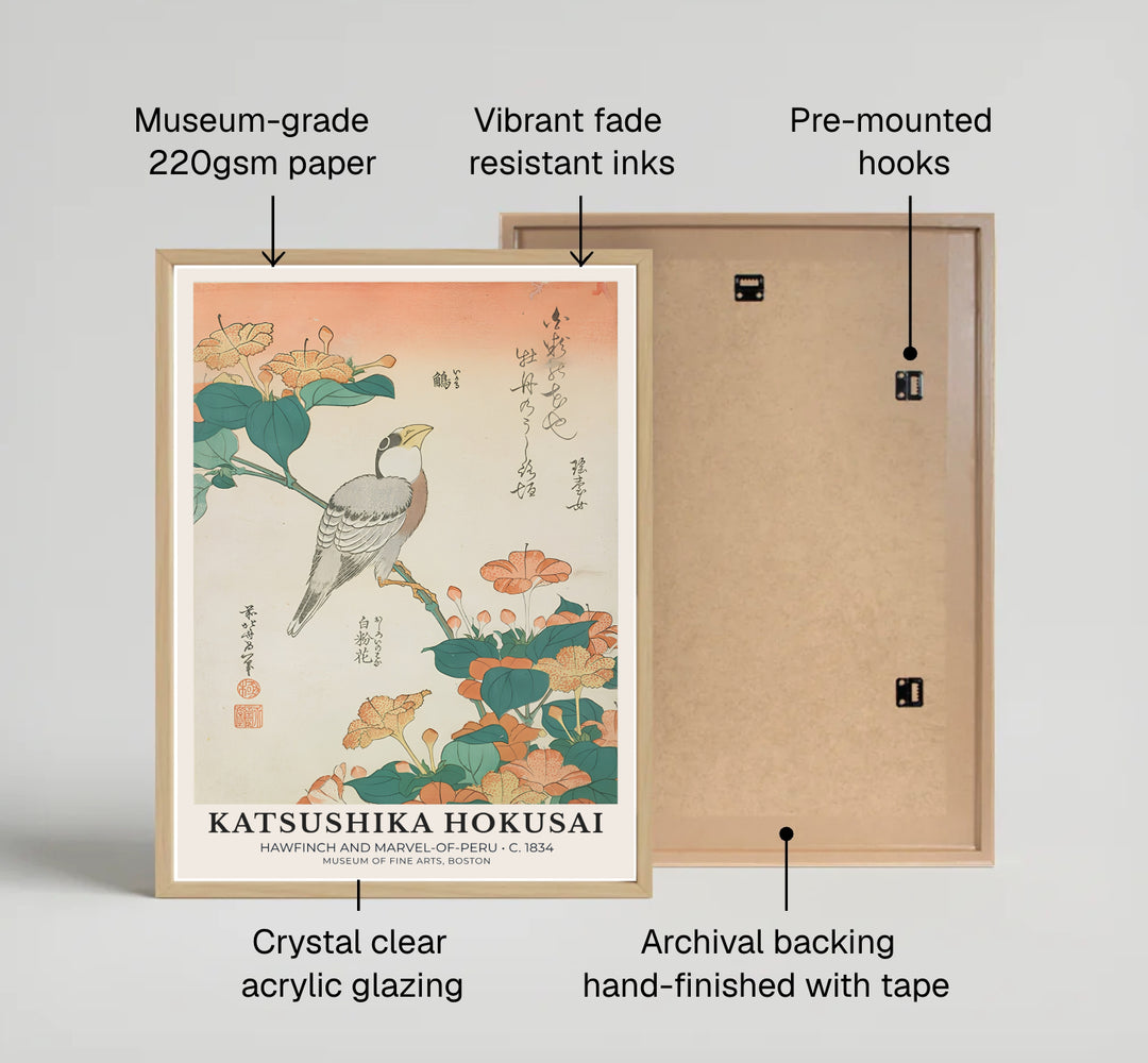 Detailed Japanese nature print Hawfinch and Marvel-of-Peru by artist Katsushika Hokusai showcasing a songbird amidst Marvel of Peru flowers in Boston. MapYourDreams offers fine art framed, unframed, and canvas print options.