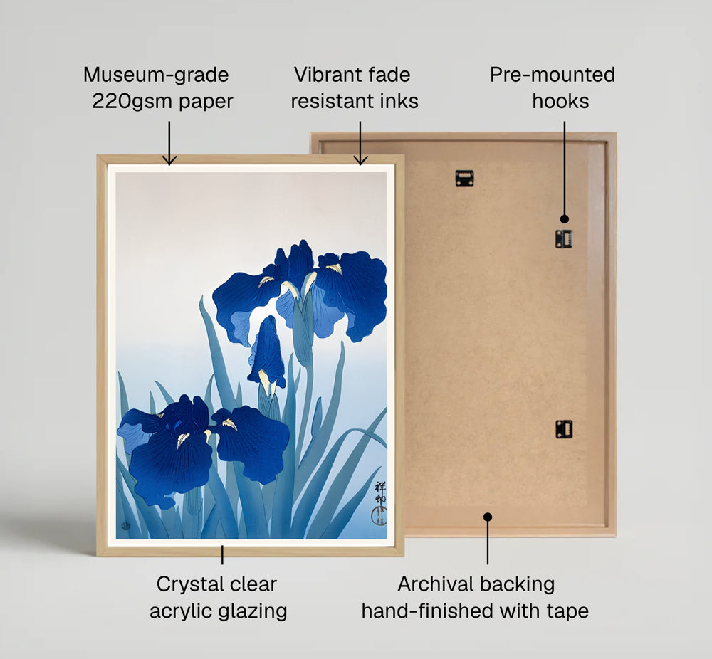 Vintage blue Japanese iris floral poster by artist Ohara Koson showing rich indigo blossoms from Kyoto art archives. Available as unframed prints, gallery canvas, or framed wall decor at MapYourDreams.
