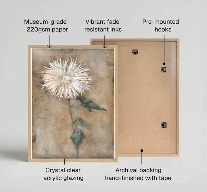Showcasing the visionary drafting technique of the artist, this historic Piet Mondrian Chrysanthemum poster immortalizes organic floral beauty with profound grace and sophisticated restraint. MapYourDreams offers this gallery-worthy Piet Mondrian Chrysanthemum print in diverse presentation styles, encompassing traditional paper posters, custom frames in various wood and metallic tones, and premium stretched canvas wraps.