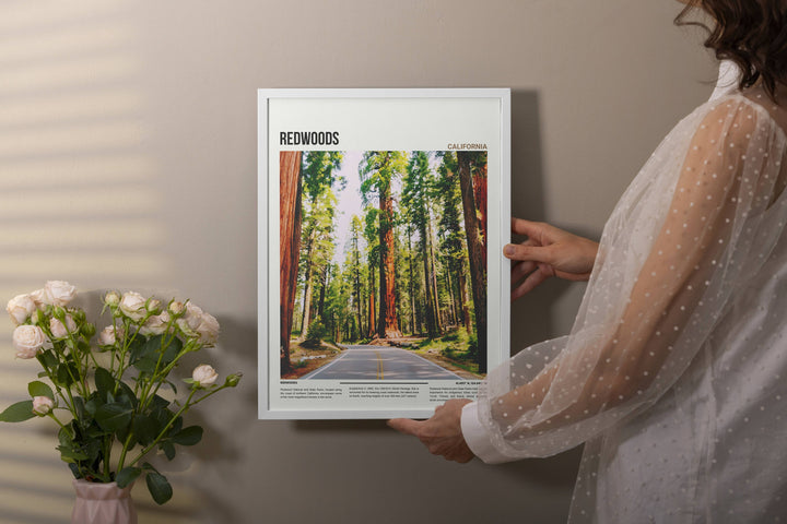 Adorn your walls with the majesty of Redwoods, a timeless addition to your home decor