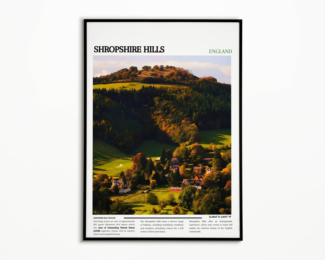 Evocative Shropshire landscape print with The Long Mynd, The Stiperstones, and Ludlow Castle. Perfect for UK-themed decor.
