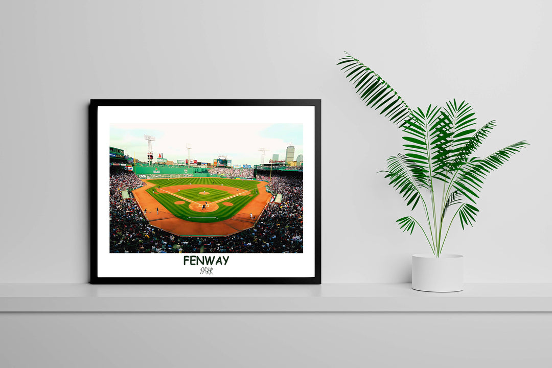 a picture of a baseball field and a plant
