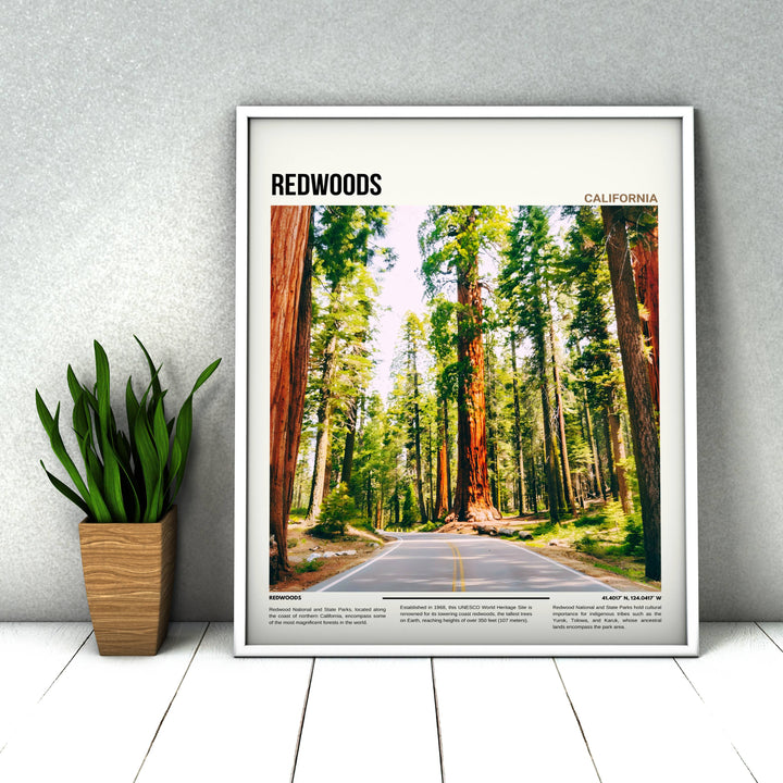 Immerse yourself in the serene beauty of Redwoods with this captivating wall decor