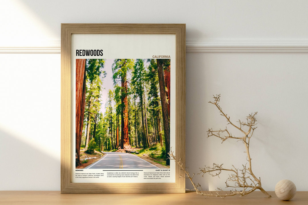 Enhance your walls with stunning Redwoods artwork, ideal for travel enthusiasts and housewarming gifts