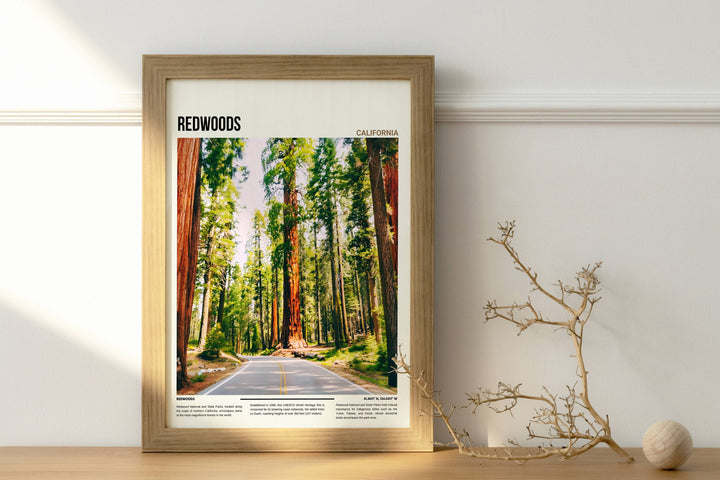 Enhance your walls with stunning Redwoods artwork, ideal for travel enthusiasts and housewarming gifts