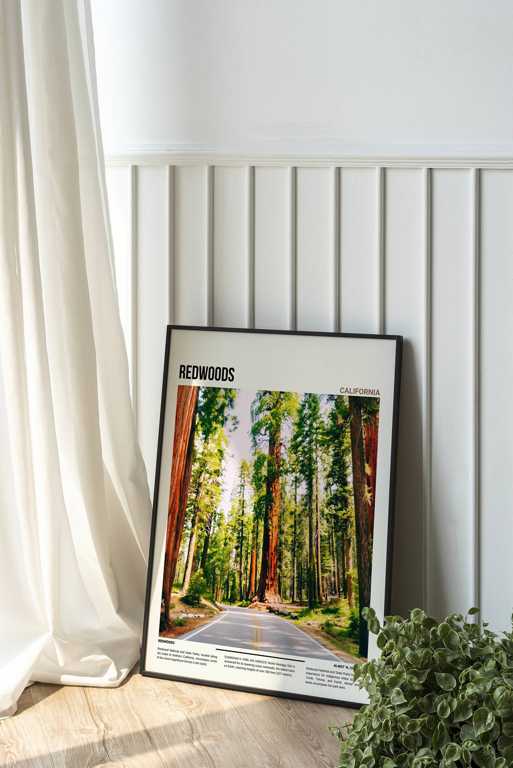 Adorn your walls with the majesty of Redwoods, a timeless addition to your home decor