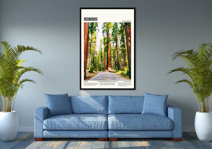 Adorn your walls with the majesty of Redwoods, a timeless addition to your home decor