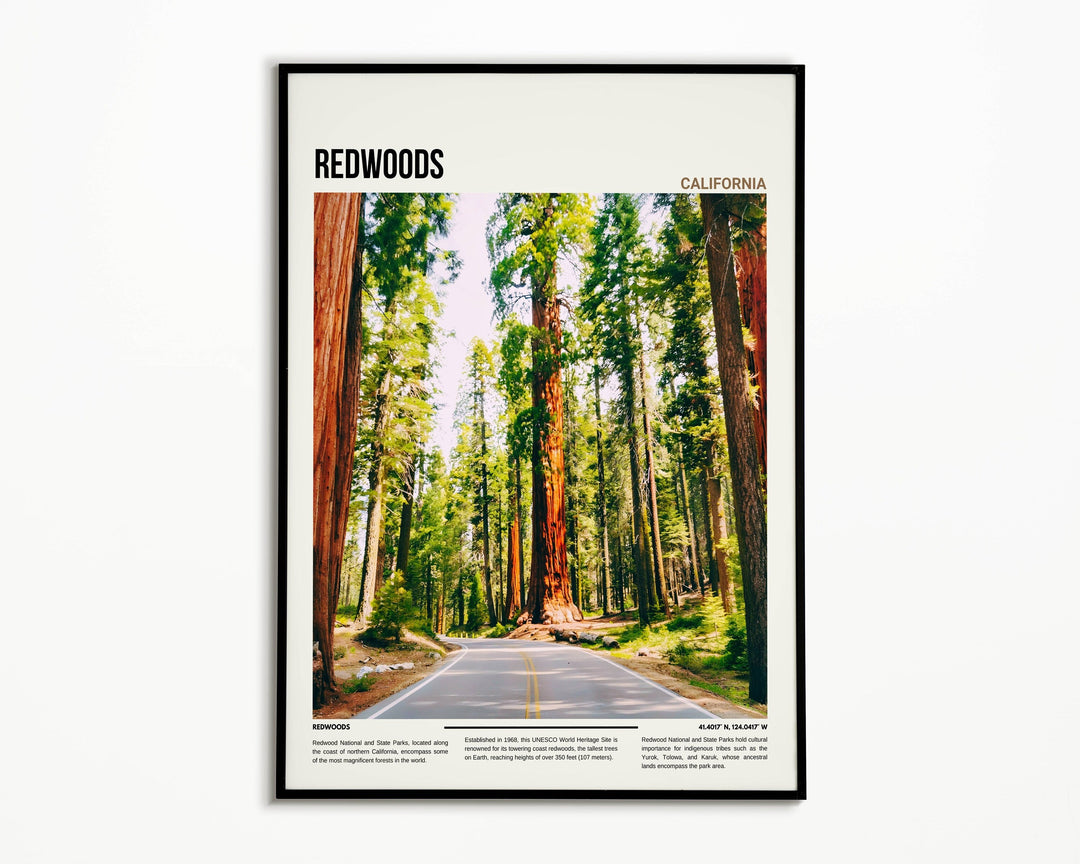 Immerse yourself in the serene beauty of Redwood national park with this captivating wall decor