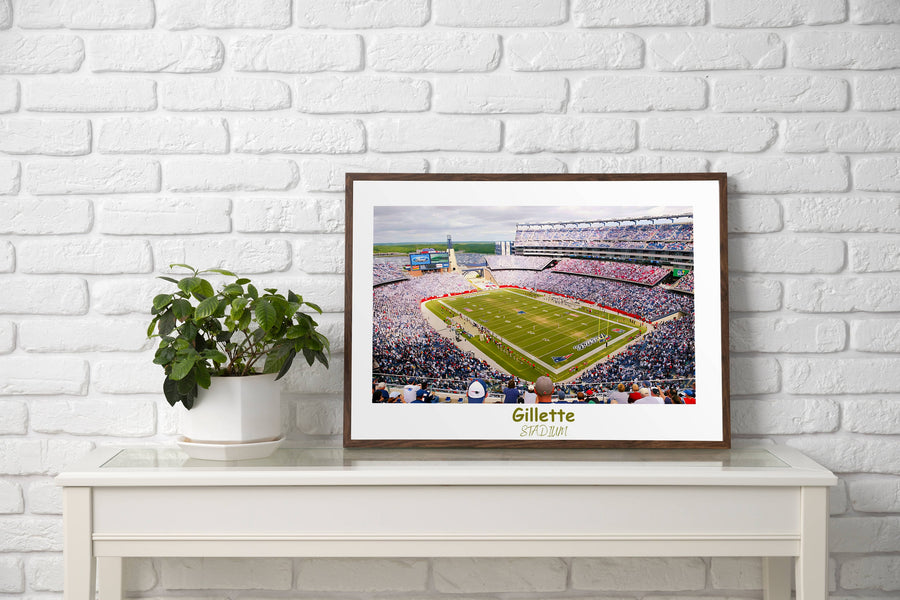 a picture of a football stadium with a plant in front of it