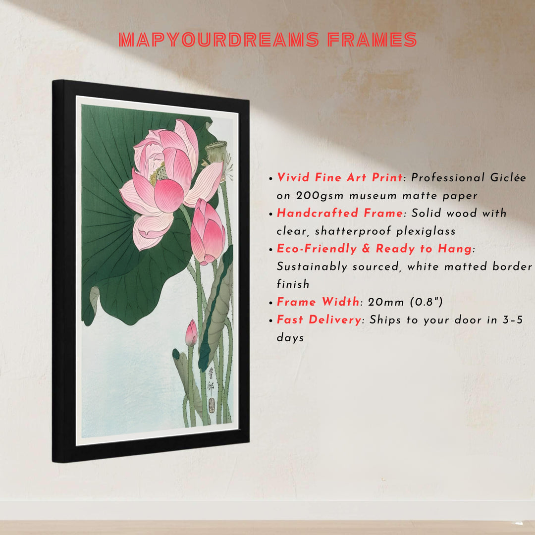 Japanese Shin-hanga floral poster featuring blooming lotus flowers from a famous Tokyo museum collection. MapYourDreams presents quality framed, unframed, and canvas print options for home decor.