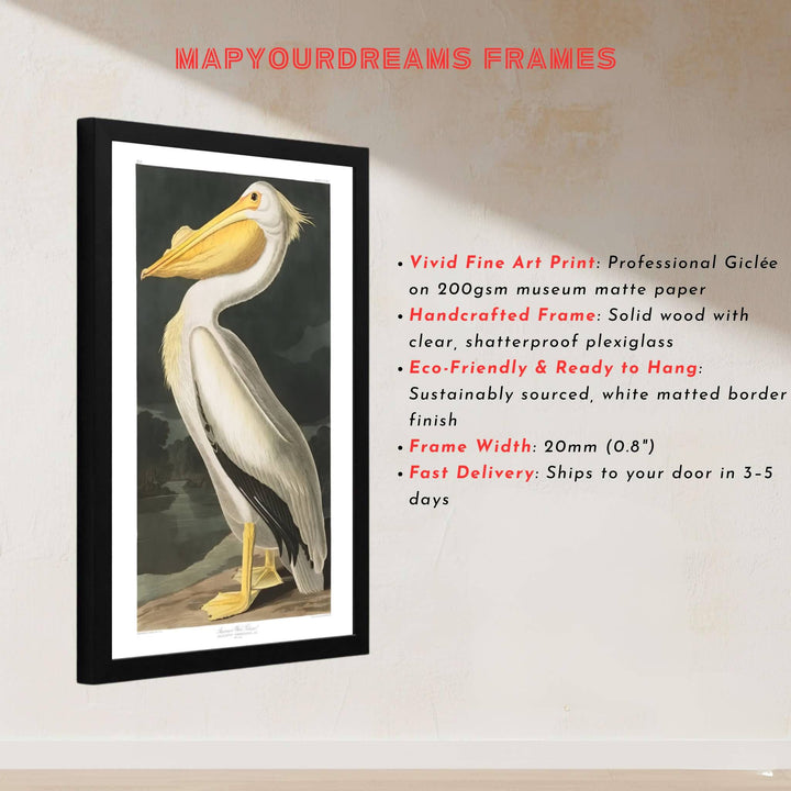 Surrounding central avian posture with meticulous riverbank background detail beneath archival labeling, this American White Pelican 1838 poster is a masterclass in classical wildlife illustration. Offered by MapYourDreams, this artwork can be ordered as an unframed paper print, a sophisticated framed wall hanging, or a gallery-quality canvas.