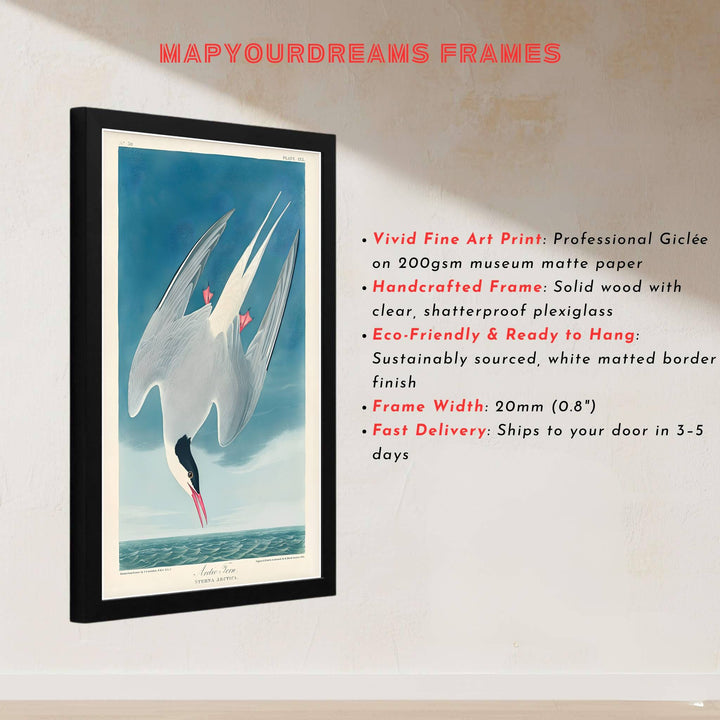 Surrounding central avian action with meticulous marine background detail beneath archival labeling, this Arctic Tern 1838 poster is a masterclass in classical wildlife illustration. Offered by MapYourDreams, this artwork can be ordered as an unframed paper print, a sophisticated framed wall hanging, or a gallery-quality canvas.