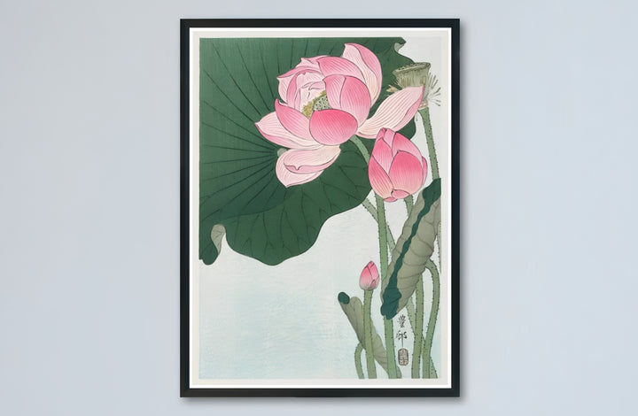 Rich pink lotus flower canvas print showcasing Ohara Koson vintage Japanese artwork from Kyoto collections. Buy high-definition framed, unframed, and canvas poster prints directly from MapYourDreams.