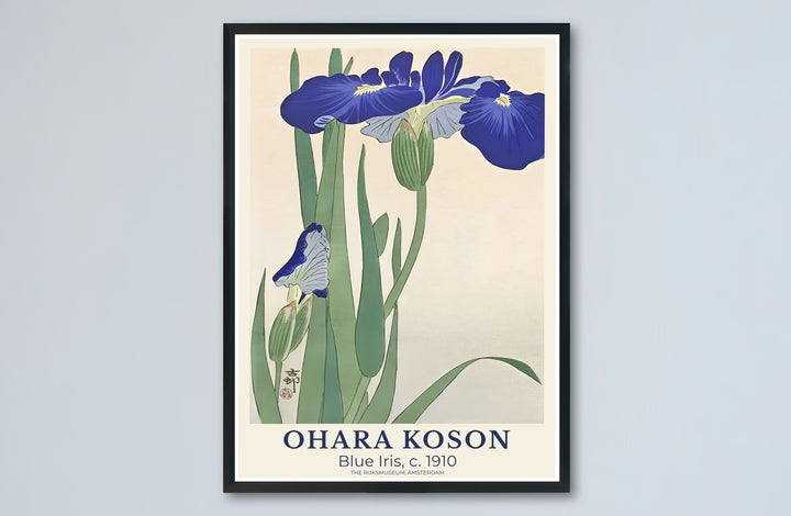 Rich 1910 blue iris flower canvas print showcasing Ohara Koson vintage Japanese artwork from The Rijksmuseum, Amsterdam collections. Buy high-definition framed, unframed, and canvas poster prints directly from MapYourDreams.