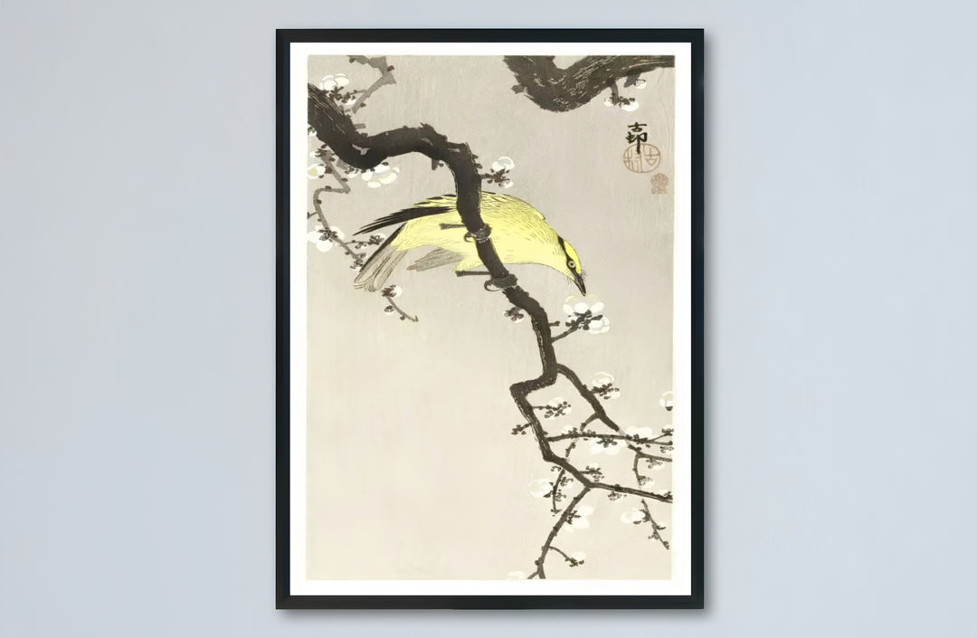 1900 1910 Japanese Kacho-ga poster featuring a Chinese Oriole on a blossom branch from a famous Tokyo museum collection. MapYourDreams presents quality framed, unframed, and canvas print options for home decor.