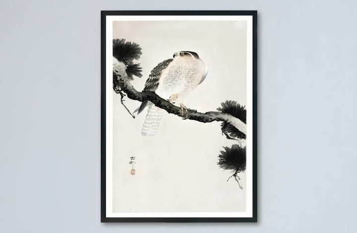 Dark academia hawk canvas print showcasing Ohara Koson vintage 1900 1930 Japanese artwork by artist Ohara Koson from Kyoto collections. Buy high-definition framed, unframed, and canvas poster prints directly from MapYourDreams.