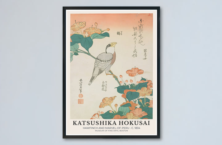 Japanese museum exhibition poster Hawfinch and Marvel-of-Peru by artist Katsushika Hokusai featuring an 1834 songbird woodblock print from a Boston display. MapYourDreams presents quality framed, unframed, and canvas print options for home decor.