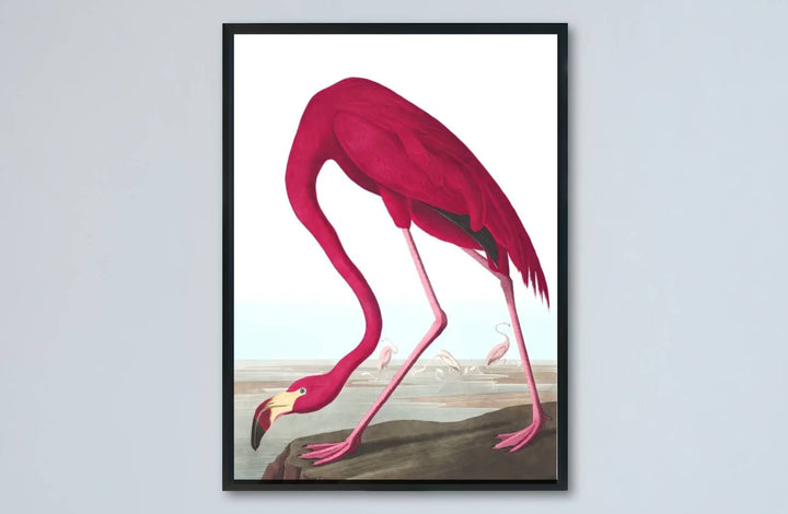 Celebrated for its revolutionary visual vocabulary within international museum permanent holdings, this museum-quality American Flamingo 1838 wall art reproduction invites quiet study. MapYourDreams provides versatile presentation styles, featuring everything from classic unframed paper posters to custom framed selections and rich gallery canvas wraps.