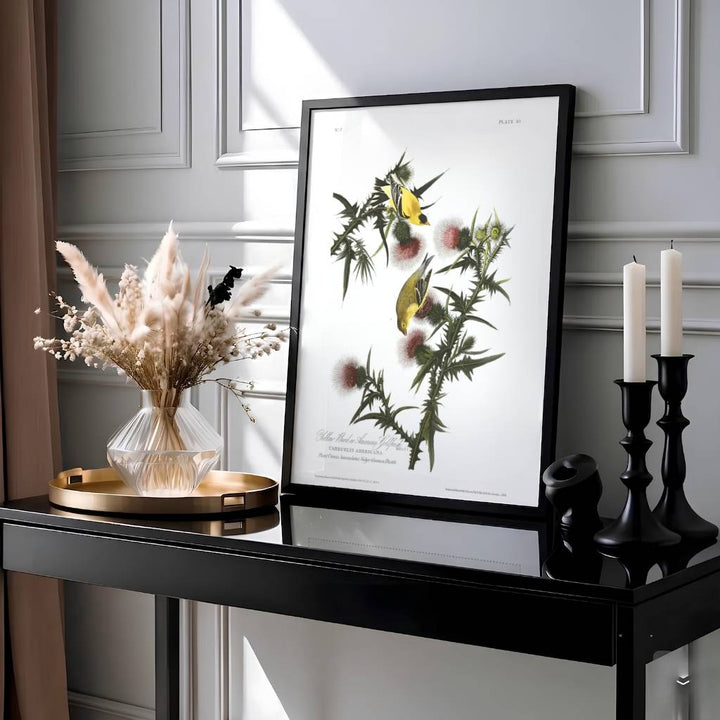 Framed by authentic 19th-century scientific publication text honoring avian heritage, this expressive American Goldfinch 1838 wall art showcases supreme mastery over ornithological illustration. MapYourDreams provides this masterpiece in diverse display styles, ranging from delicate unframed paper posters and precision-crafted framed editions to deep, textured canvas centerpieces.